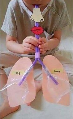 a little boy sitting on top of a bed holding a purple toothbrush with lungs attached to it