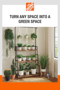 an advertisement for a green space with potted plants on the shelf and in front of it