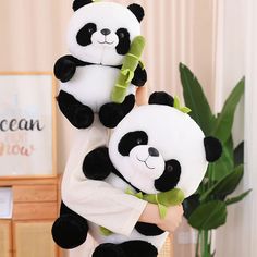 two stuffed panda bears sitting on top of each other in front of a potted plant