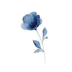 a blue flower on a white background