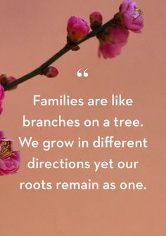 pink flowers with a quote about families are like branches on a tree we grow in different directions yet our roots remain as one