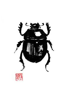 a drawing of a bug on a white background