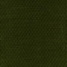 an image of a dark green background