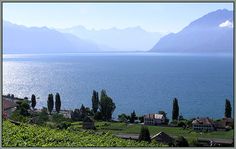 a lake with mountains in the background and houses on the shore near it, surrounded by greenery