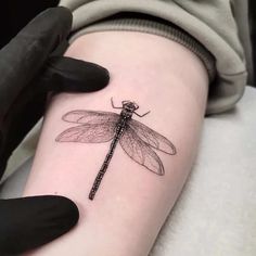 a small dragonfly tattoo on the arm