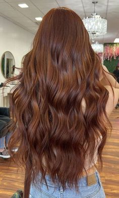 Copper Brown Hair, Rambut Brunette, Red Hair Inspo, Brown Hair Looks, Brown Hair Inspo, Copper Hair