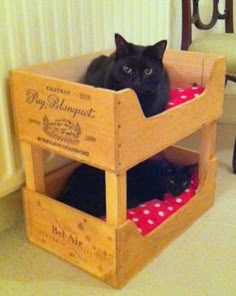 a black cat sitting in a wooden crate