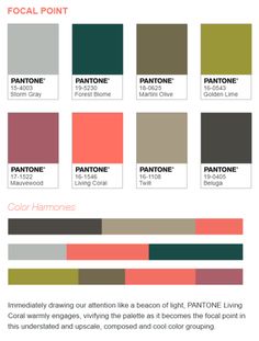 the pantone color chart with different shades and colors for each part of the page