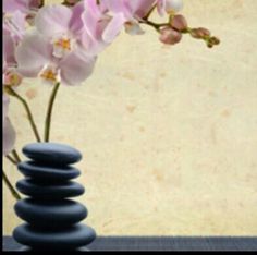 Orchid & stones Deep Tissue Massage, Beauty Spa, Massage Therapy, Orchids, Things To Sell, Plants