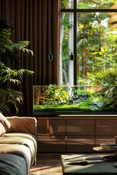 a living room filled with lots of plants and a fish tank on top of a table