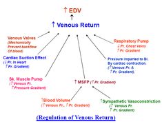 the venous return diagram for an epv system, with several words in it