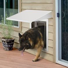 a dog is sticking its tongue out of the door