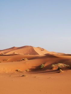 the desert is covered in sand dunes and trees