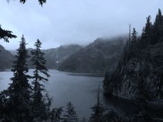 a lake surrounded by trees on a foggy day