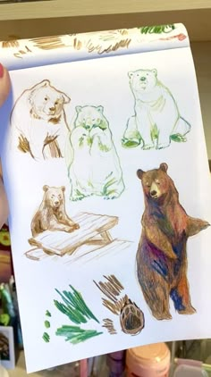 a person holding up a paper with drawings of bears and other animals on it's side