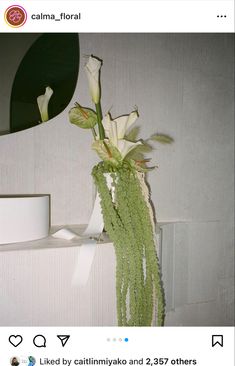 a vase filled with white flowers sitting on top of a counter next to a mirror