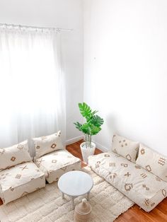 a living room filled with furniture and a potted plant