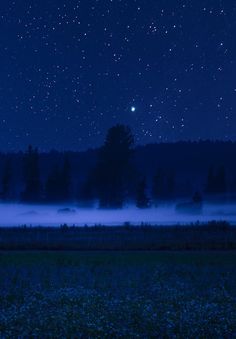 the night sky is lit up with stars and fog as it sits over a field