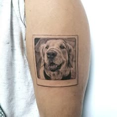 a black and white photo of a dog's face on the right arm,