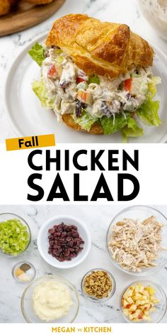 chicken salad with lettuce, tomatoes and other ingredients