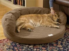 a large brown dog laying on top of a pet bed in a living room next to a person