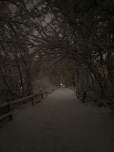 a snowy path in the woods at night with no one on it or people walking