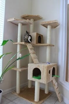 a cat tree in the corner of a room