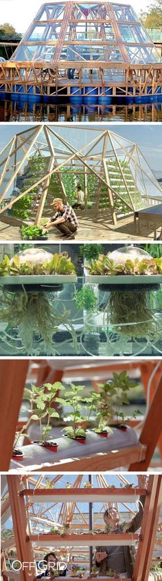 four different views of the inside of a greenhouse