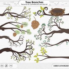 tree branches with birds and acorns hanging from the branches, on white background