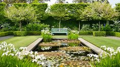 a park bench sitting next to a pond filled with water lilies