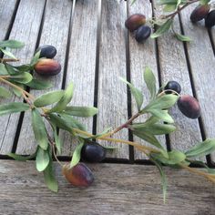 an image of some olives on a wooden table with the words ebay below it