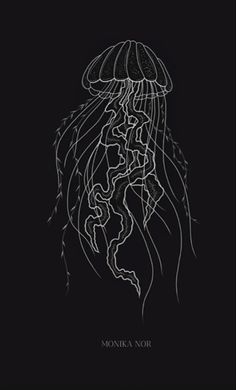 a black and white drawing of a jellyfish with the words,'monika nor '