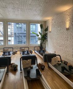 an empty gym with rows of treadmills in front of large windows and potted plants