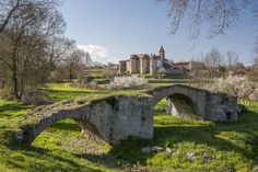 an old stone bridge in the middle of a grassy area with trees and buildings behind it