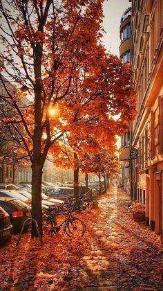 an autumn scene with leaves on the ground and bicycles parked in front of buildings,