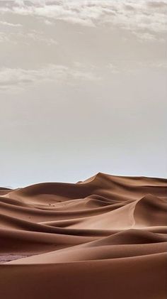 a lone tree stands in the middle of a vast expanse of sand dunes, under a cloudy sky