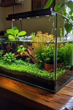 an aquarium filled with plants and rocks on top of a wooden table