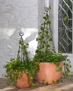 two potted plants sitting next to each other on a window sill in front of a house