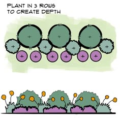 an image of plants in 3 rows to create depth