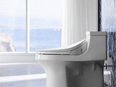 a white toilet sitting next to a window in a bathroom