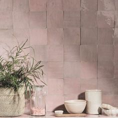 a plant in a vase next to other items on a shelf against a pink brick wall