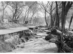 an old black and white photo of a road that has fallen over in the woods