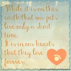 a quote with an image of a dog's paw and heart on the side