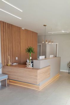 the front desk of a dental office with a plant on it