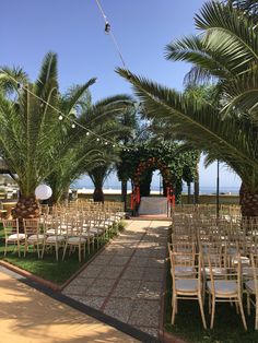 an outdoor ceremony set up with chairs and palm trees