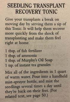 a recipe for seedling transplant recovery tonic