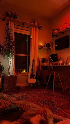 a dog laying on top of a bed in a living room next to a window