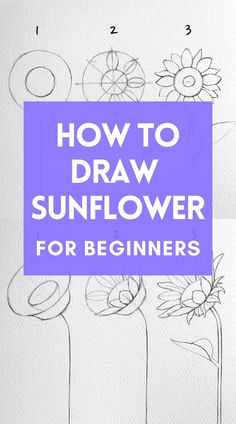 how to draw sunflowers for beginners with the title overlay that reads, how to draw sunflowers for beginners