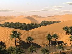 the desert is filled with palm trees and sand dunes