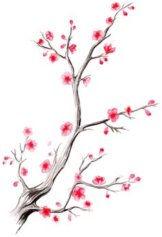 a drawing of a tree with red flowers on it's branches and the branch has no leaves